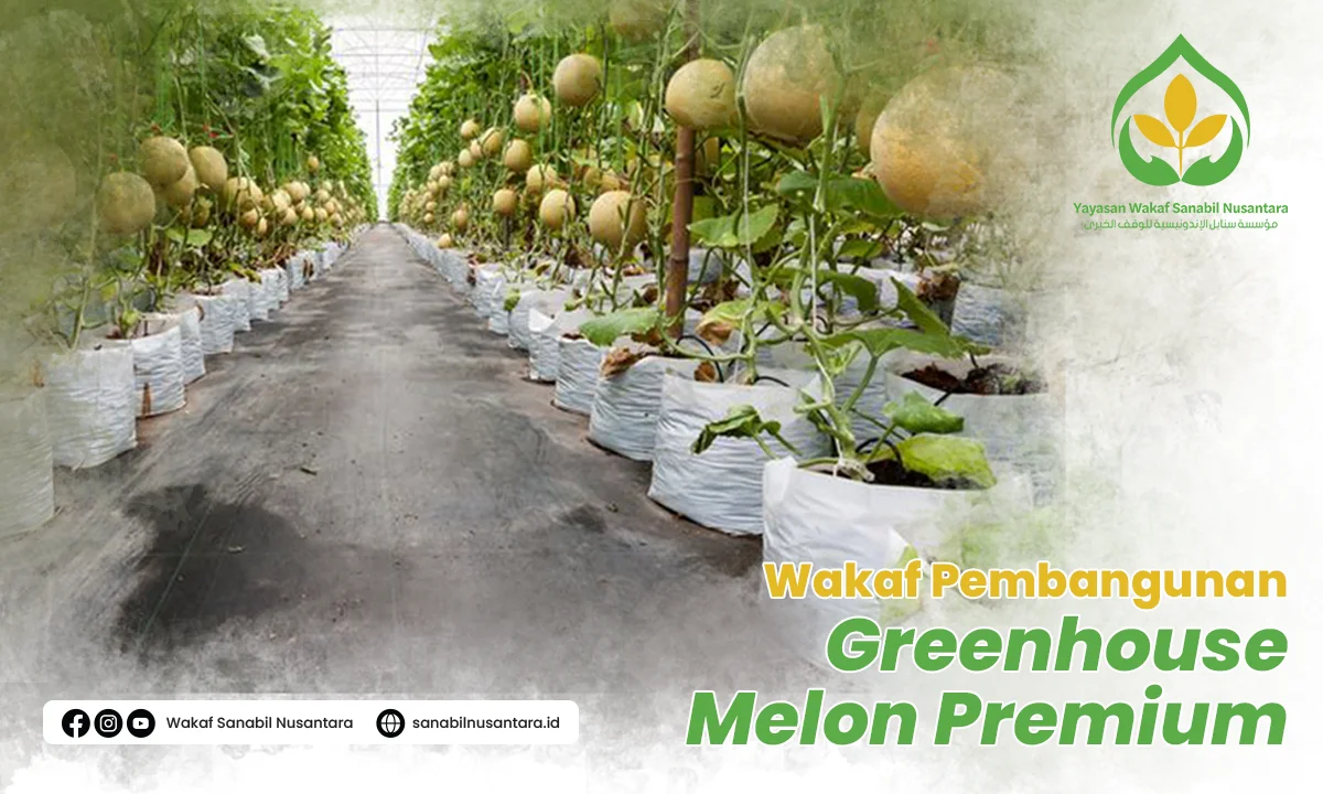 Wakaf Pembangunan Greenhouse Melon Premium